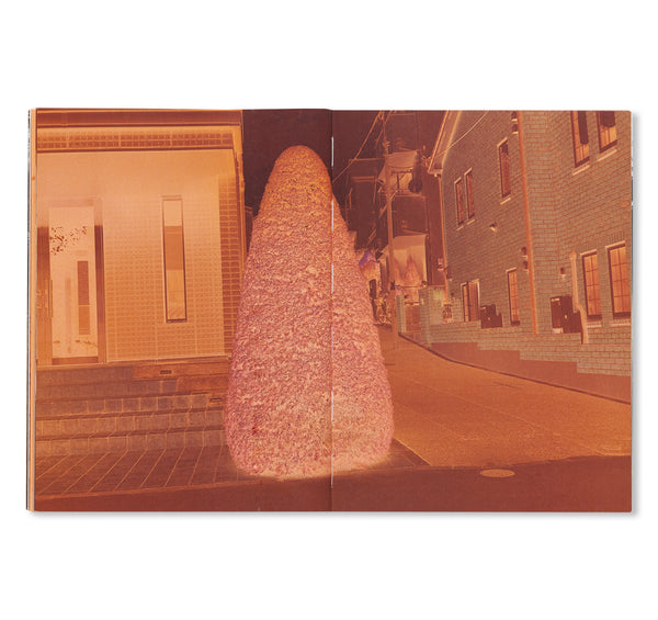 ネガエロポリス 右眼墓地 / NEGAEROPOLIS UGANBOCHI by Nobuyoshi