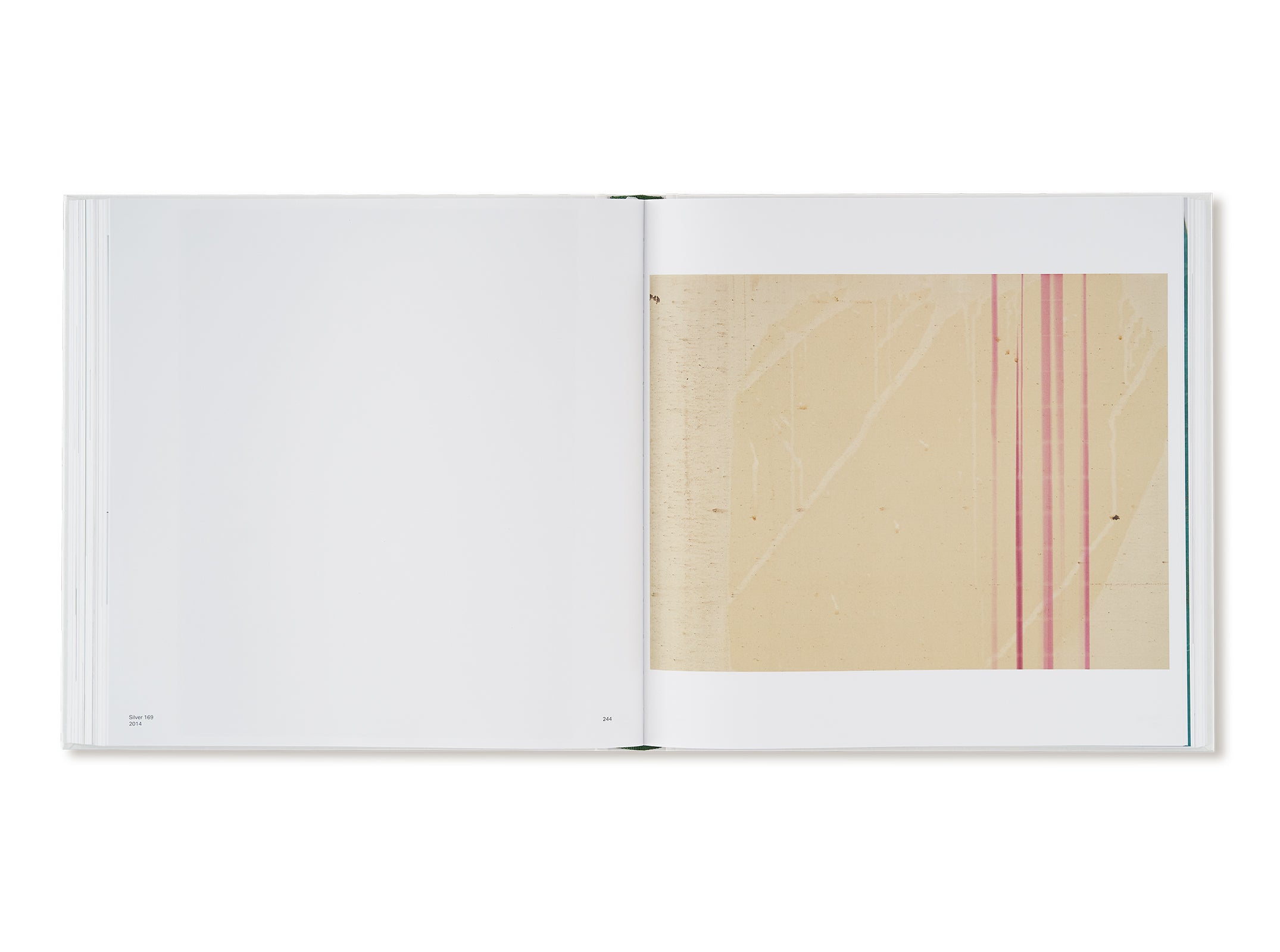 SATURATED LIGHT by Wolfgang Tillmans