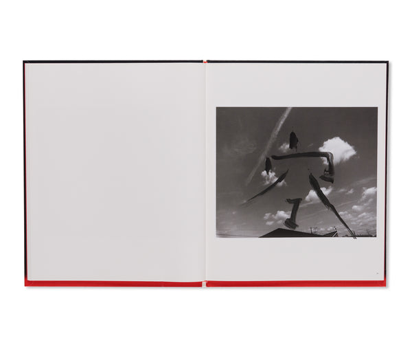 好色ペインティング / KOSHOKU PAINTING by Nobuyoshi Araki – twelvebooks