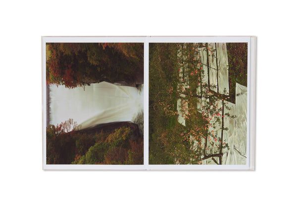 DAM Toshio Shibata ダム 柴田敏雄 (500部限定・署名入) | タイムカプセル