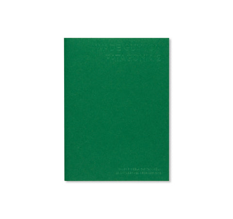 PATAGONIA 2 by Wade Guyton