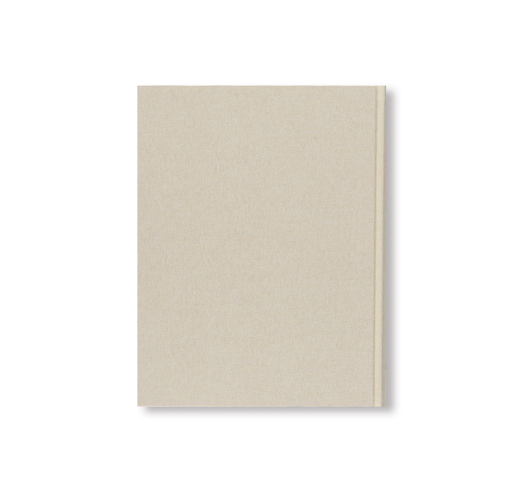 LUC TUYMANS: CATALOGUE RAISONNÉ OF PAINTINGS VOLUME 1, 1972–1994 by Luc Tuymans