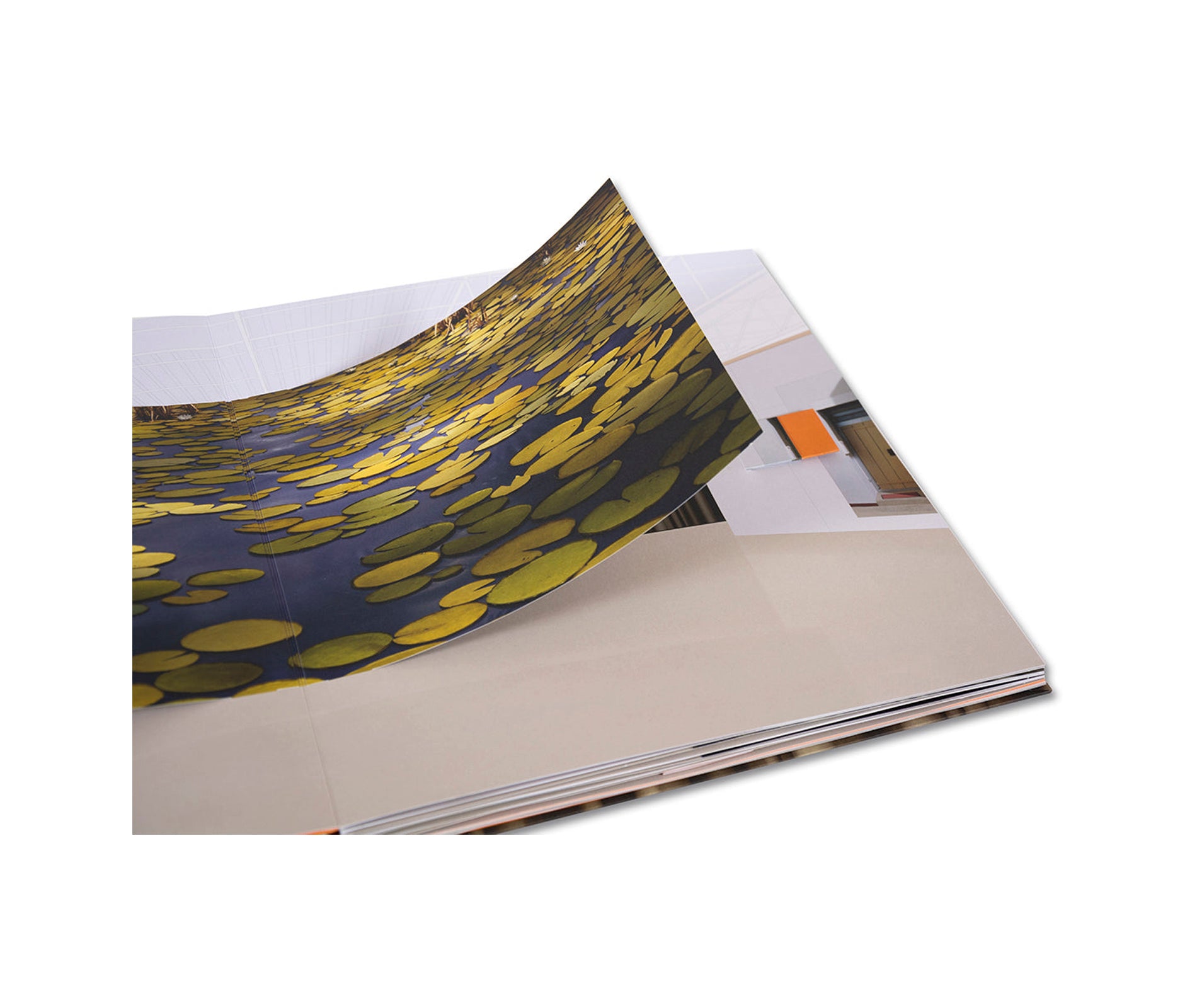 MUNDO DE PAPEL by Thomas Demand