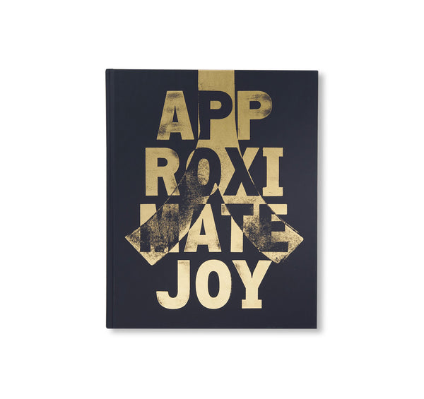 APPROXIMATE JOY by Christopher Anderson – twelvebooks