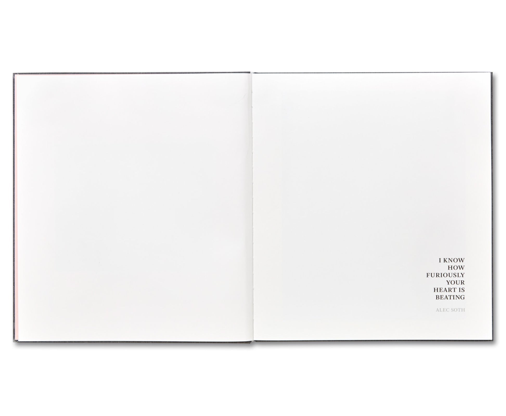 I KNOW HOW FURIOUSLY YOUR HEART IS BEATING by Alec Soth