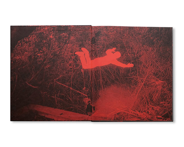 アート・デザイン・音楽 JOHN DIVOLA CHROMA CHROMA by John Divola – twelvebooks