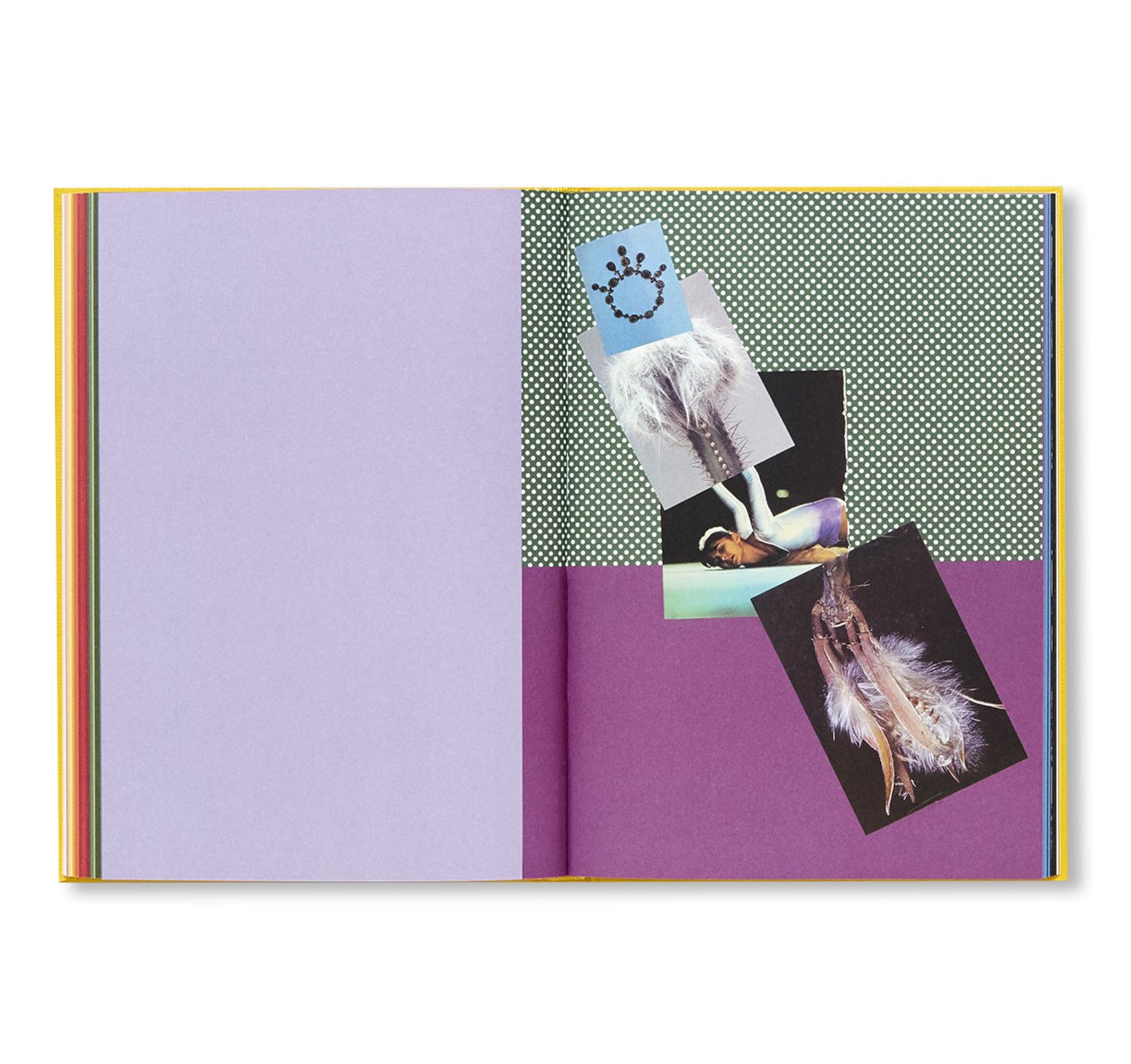 HANDBOOK OF THE SPONTANEOUS OTHER by Aikaterini Gegisian