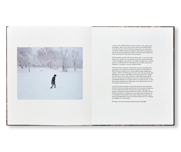 IN PLAIN AIR by Irina Rozovsky – twelvebooks