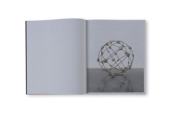 REMAINS TO BE SEEN by Mona Hatoum – twelvebooks