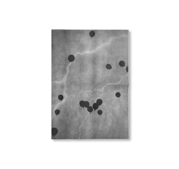 Edward Dimsdale　エドワード・ディムズデイル　限定 750部 STILLED by Edward Dimsdale – twelvebooks
