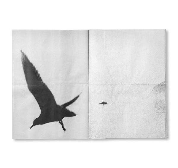 STILLED by Edward Dimsdale – twelvebooks