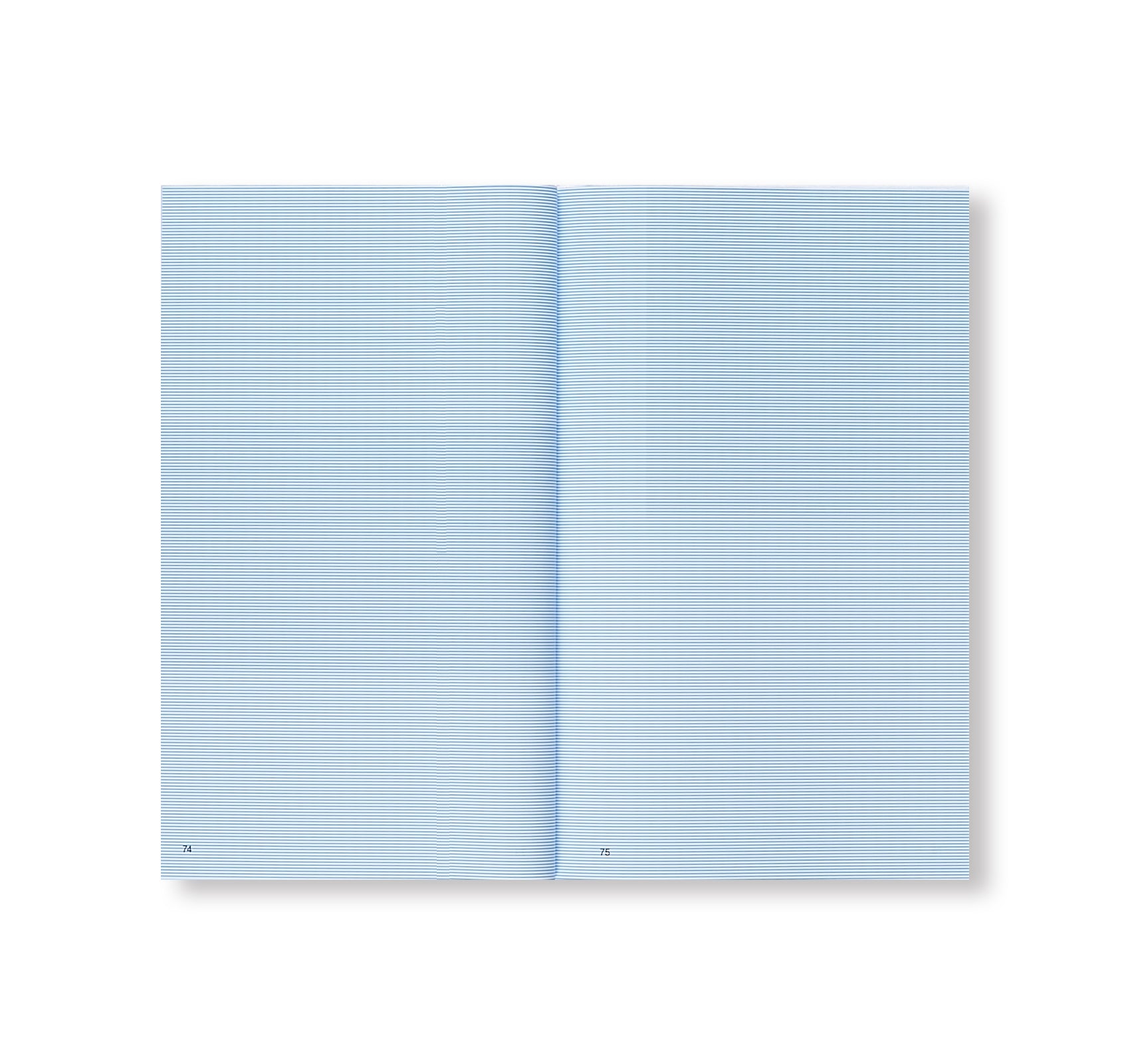 THE SUN DOES NOT MOVE. CHAPTER 35 by R.H. Quaytman