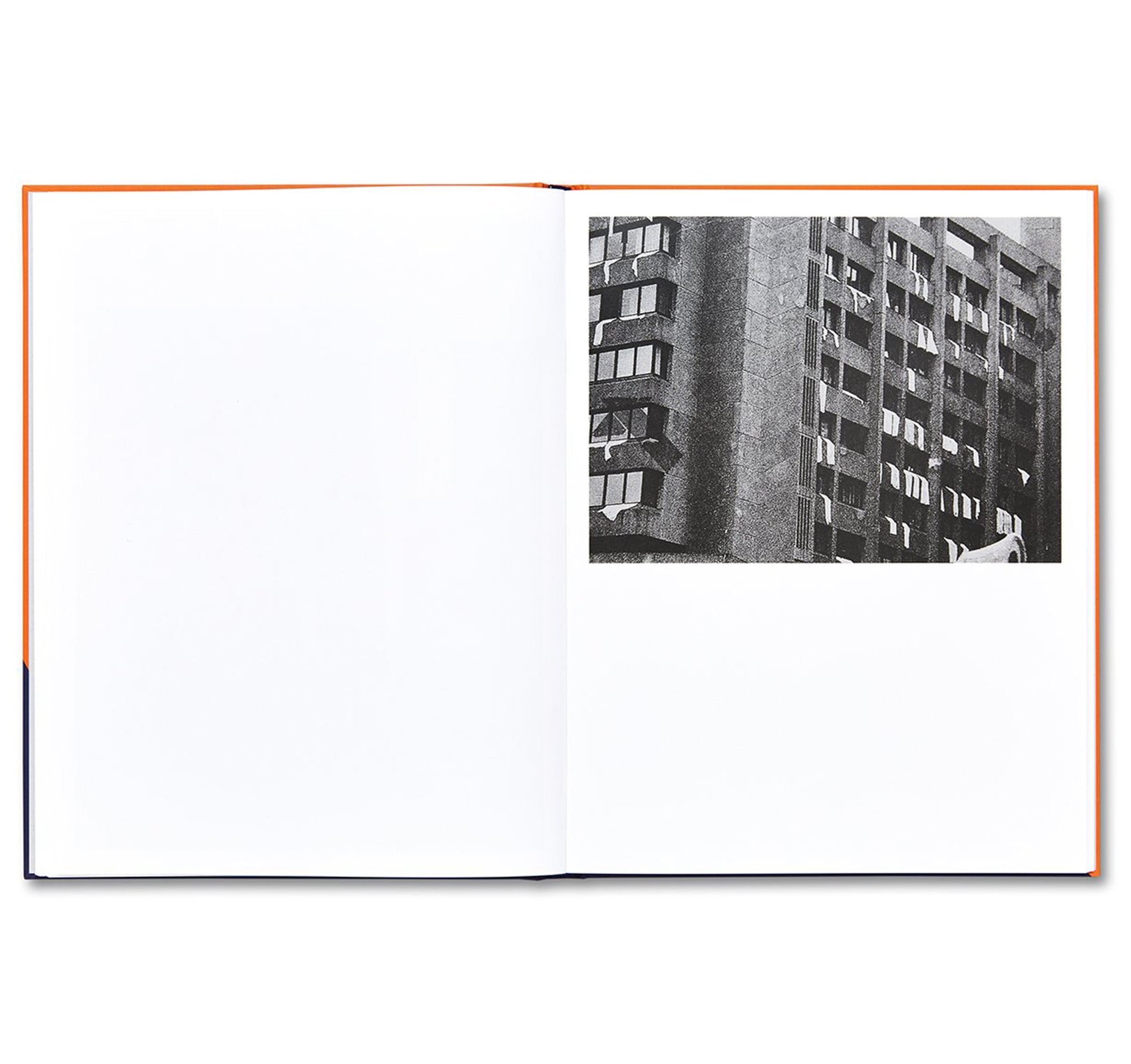 DEIN KAMPF by Brad Feuerhelm