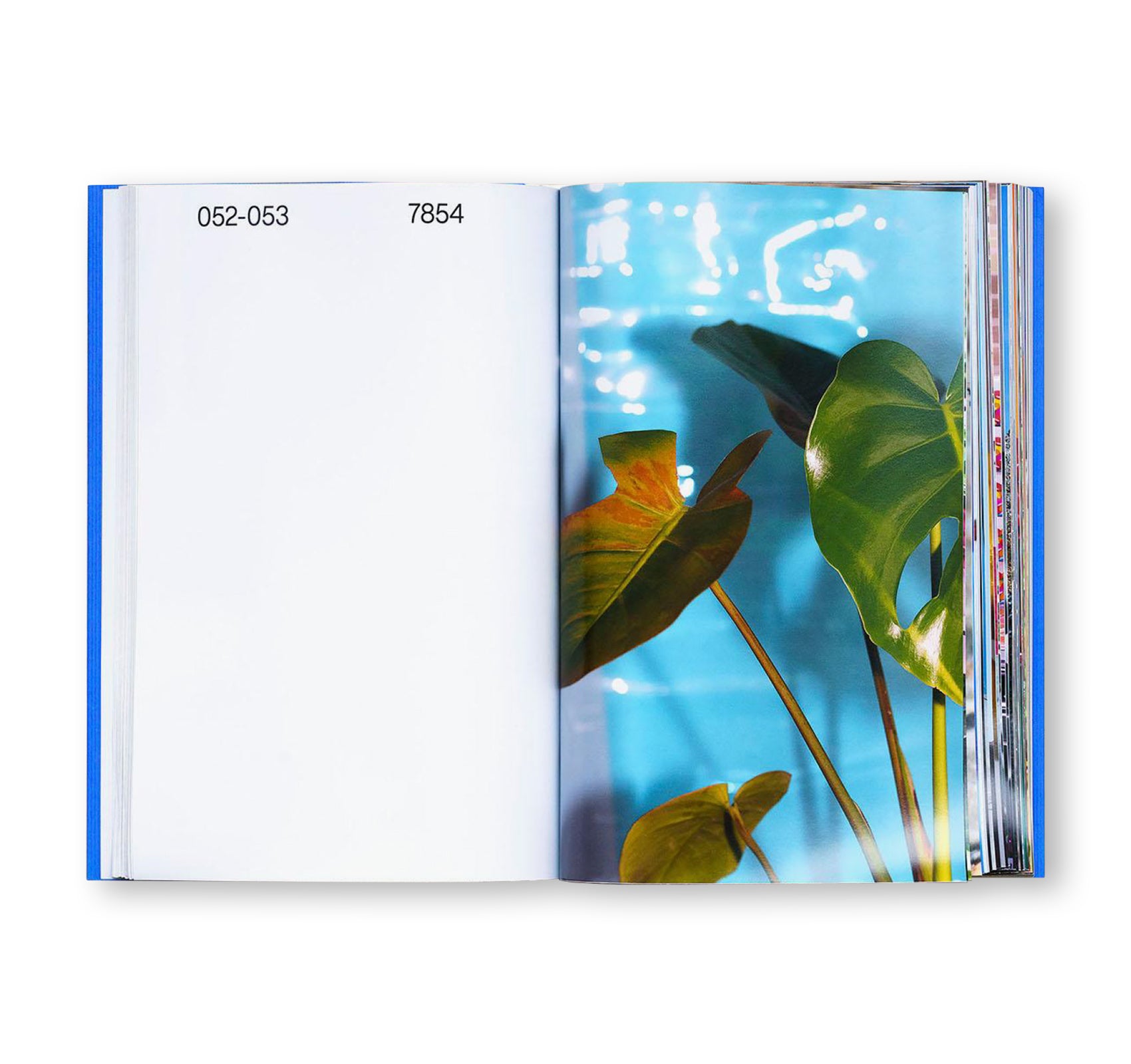 TOFU-KNIFE by Kohei Kawatani