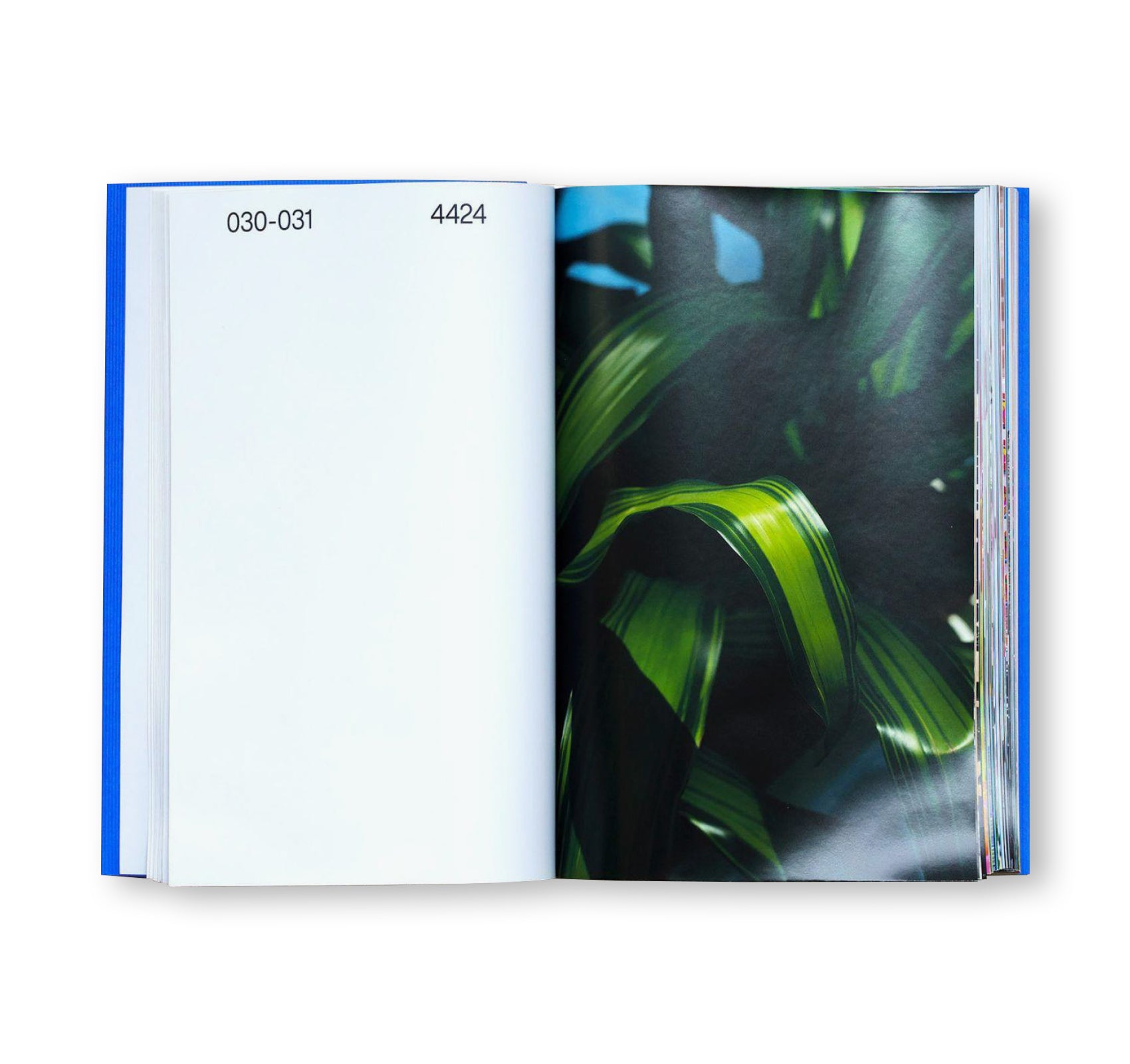 TOFU-KNIFE by Kohei Kawatani