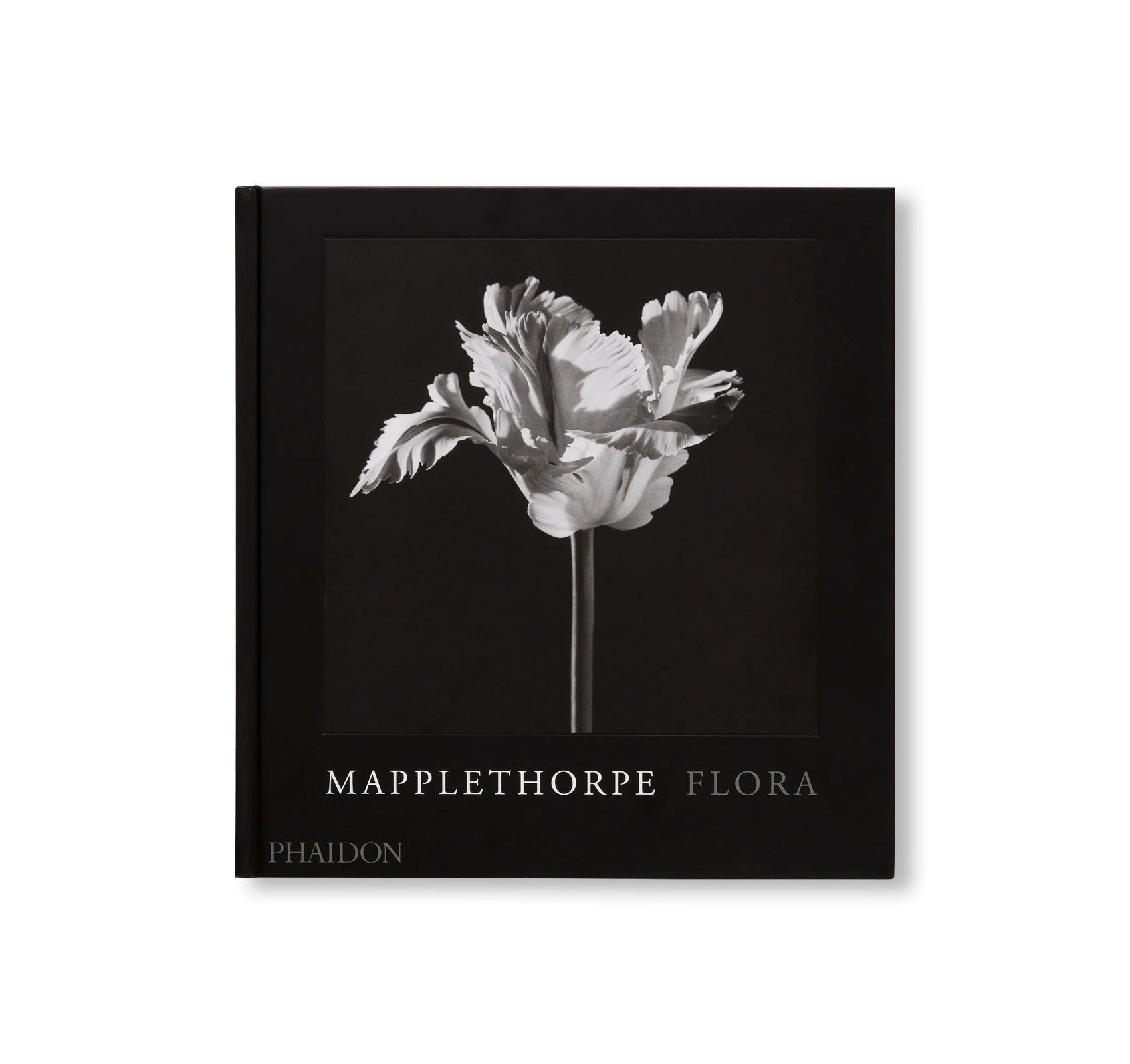 MAPPLETHORPE FLORA: THE COMPLETE FLOWERS by Robert Mapplethorpe
