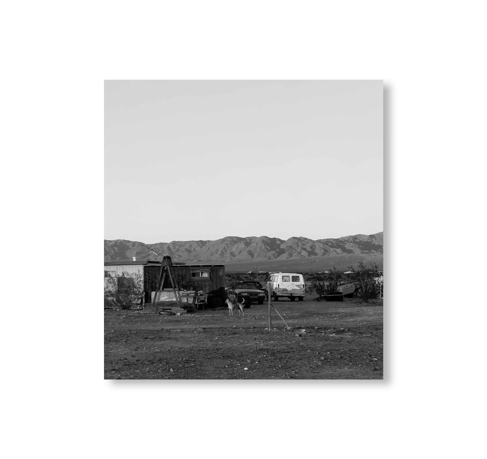 DOGS CHASING MY CAR IN THE DESERT by John Divola [REMASTERED EDITION]