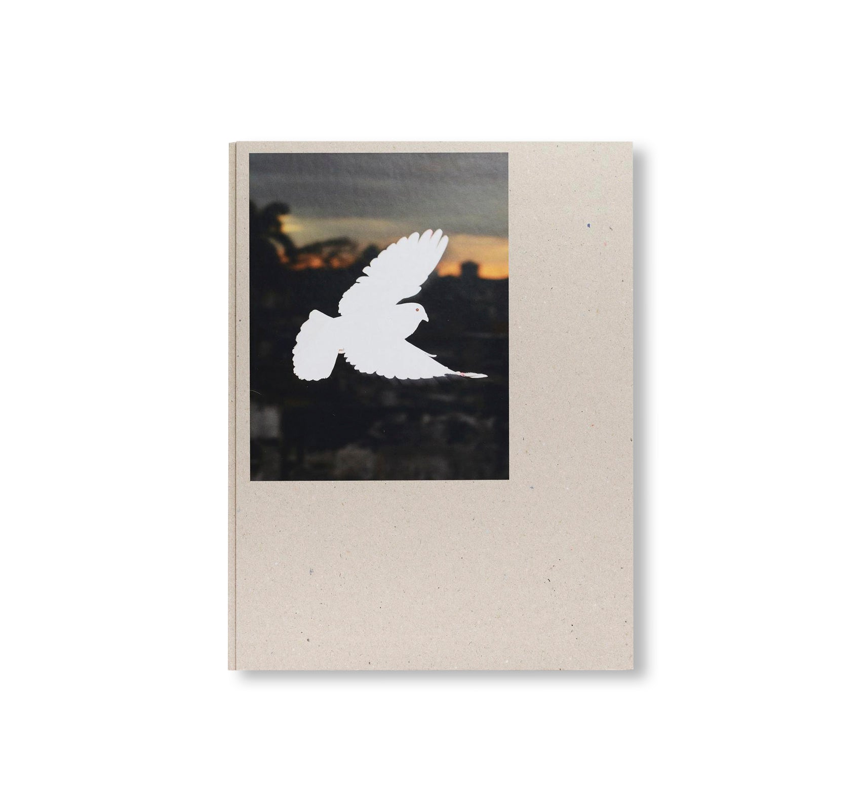 PICADERO by Carlos Jaramillo