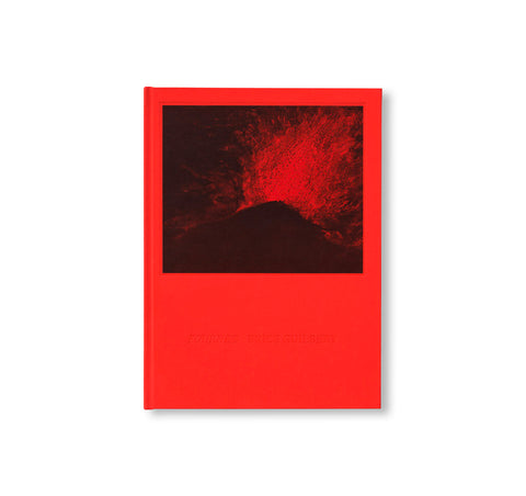 FOURNEZ by Brice Guilbert