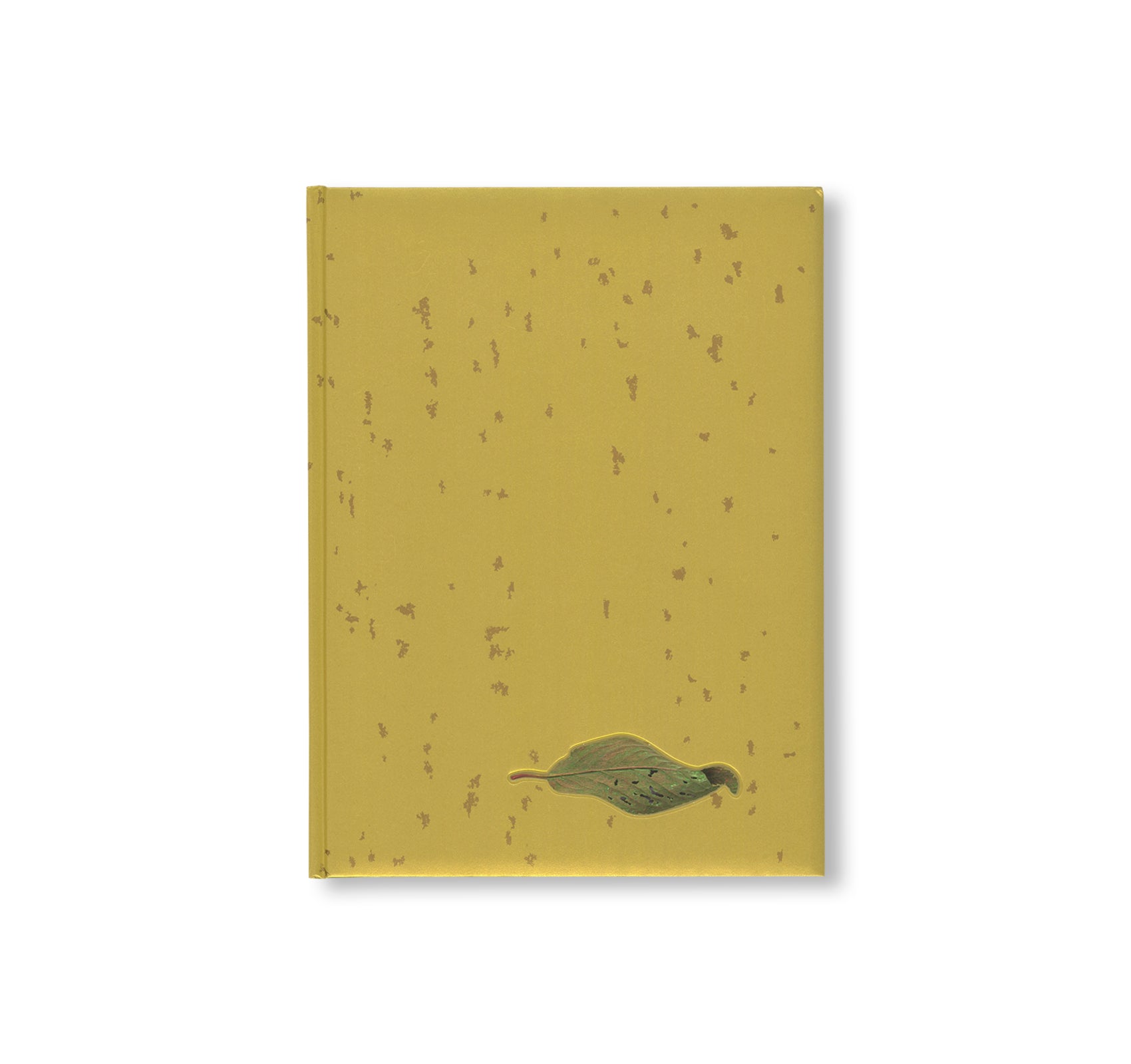 YOSHIHIRO SUDA: GARDEN EDEN by Yoshihiro Suda