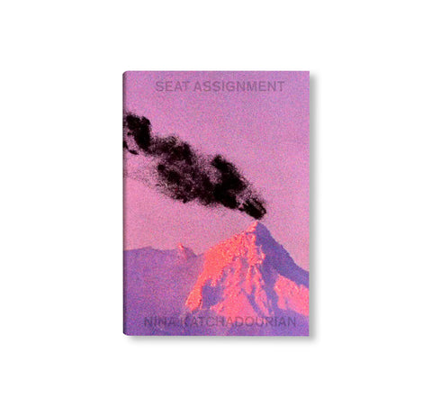 SEAT ASSIGNMENT by Nina Katchadourian