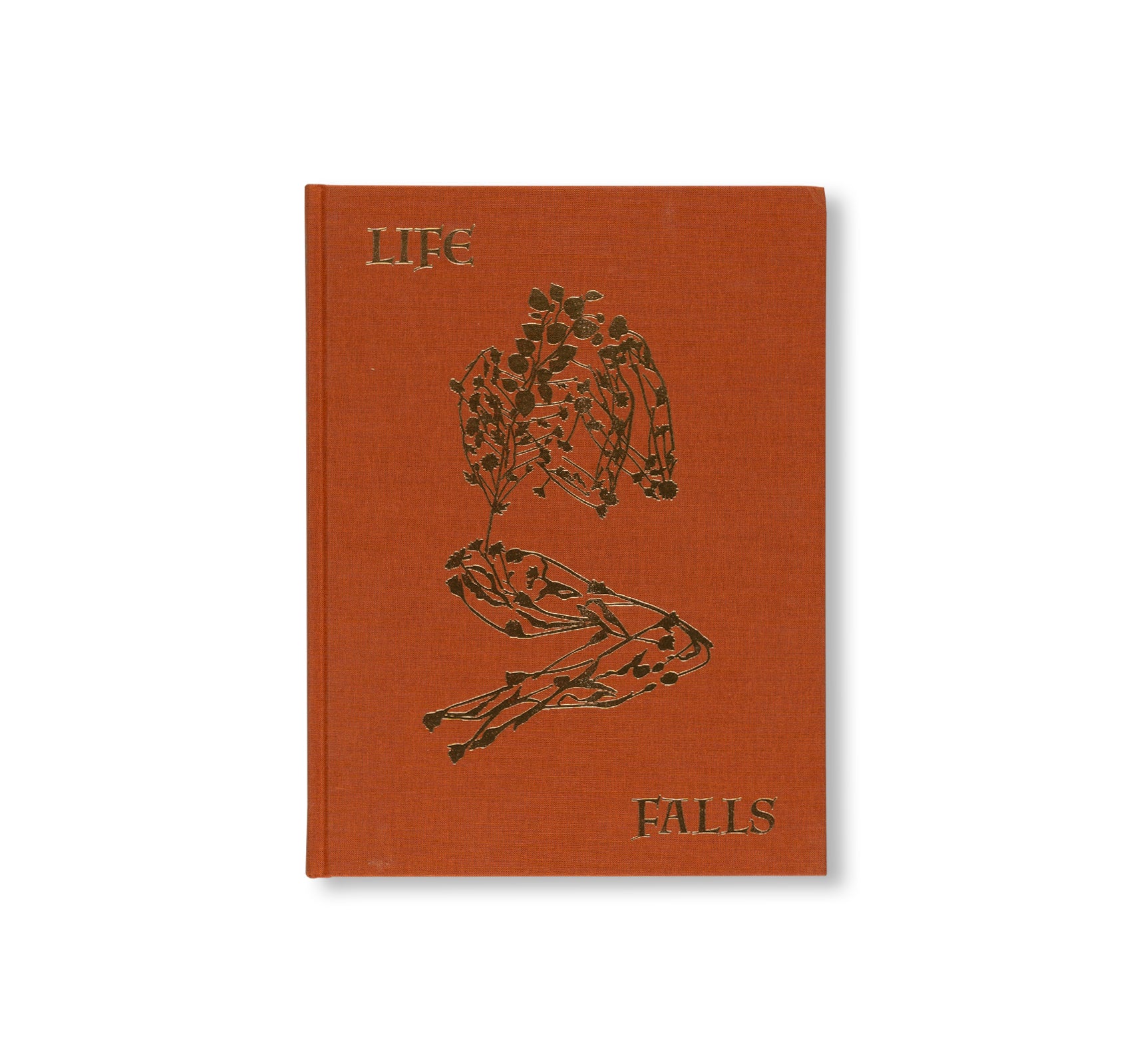 AFTER LIFE by Sam Falls