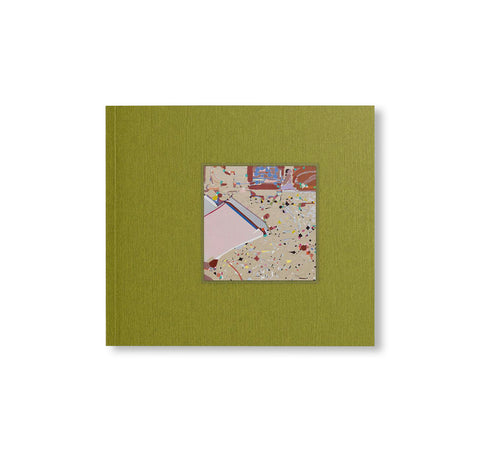 A LANDSCAPE SHREDDED by Molly Rose Lieberman