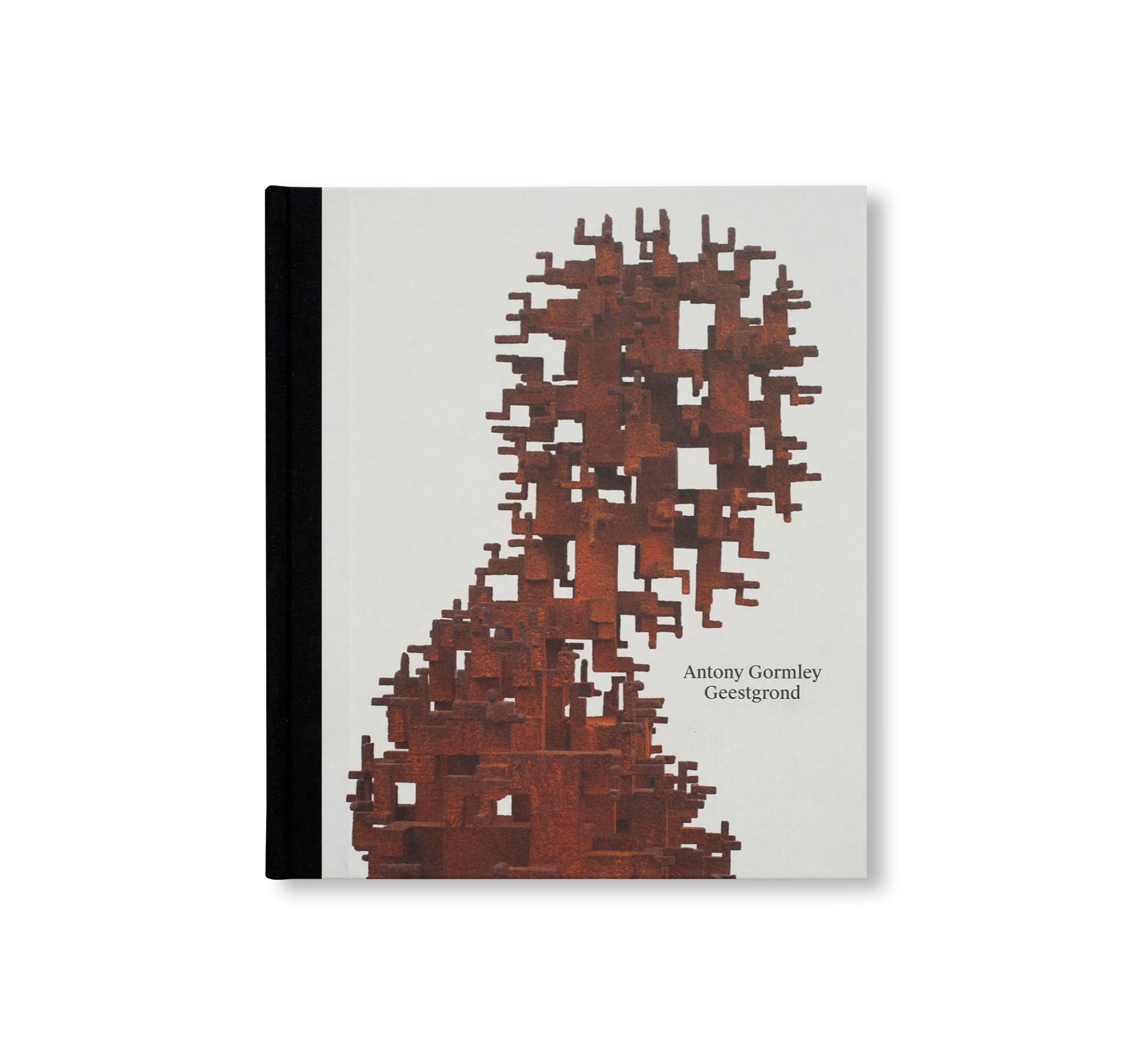 GEESTGROND by Antony Gormley