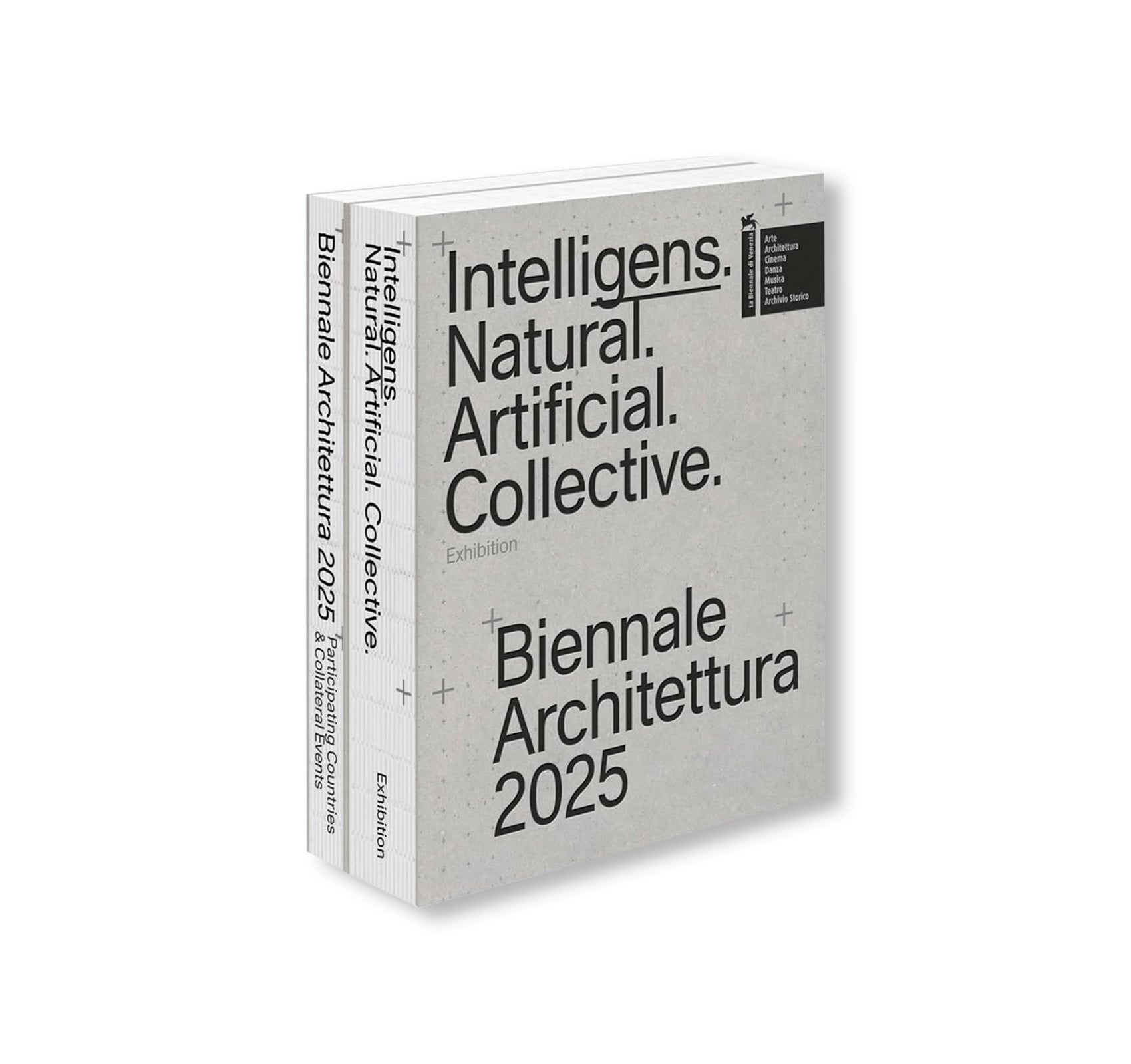 BIENNALE ARCHITETTURA 2025: INTELLIGENS. NATURAL. ARTIFICIAL. COLLECTIVE.