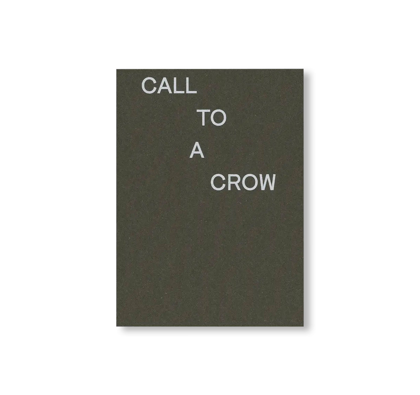 CALL TO A CROW – APPELLE UN CORBEAU by David Horvitz
