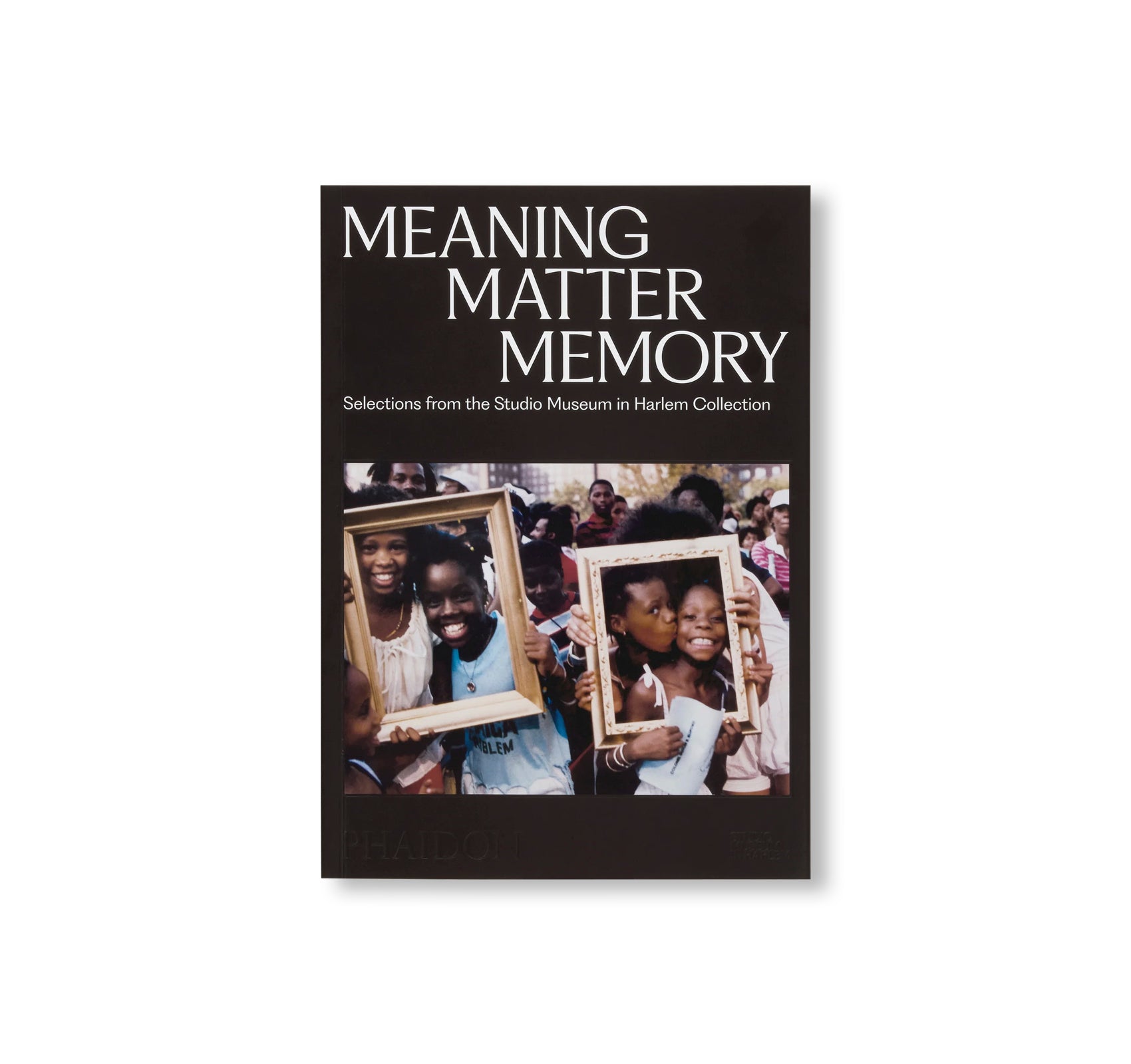 MEANING MATTER MEMORY: SELECTIONS FROM THE STUDIO MUSEUM IN HARLEM COLLECTION