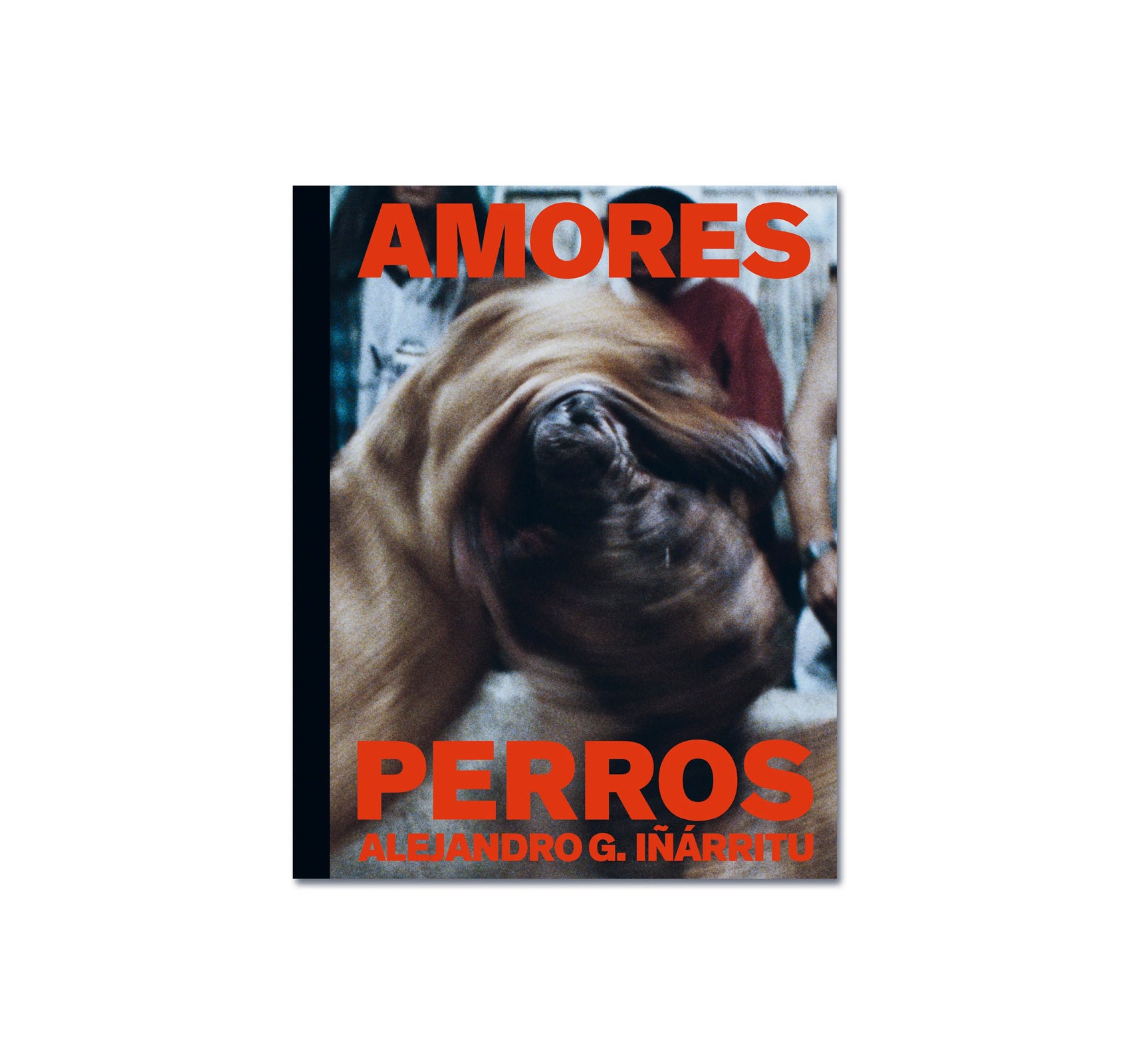AMORES PERROS by Alejandro G. Iñárritu