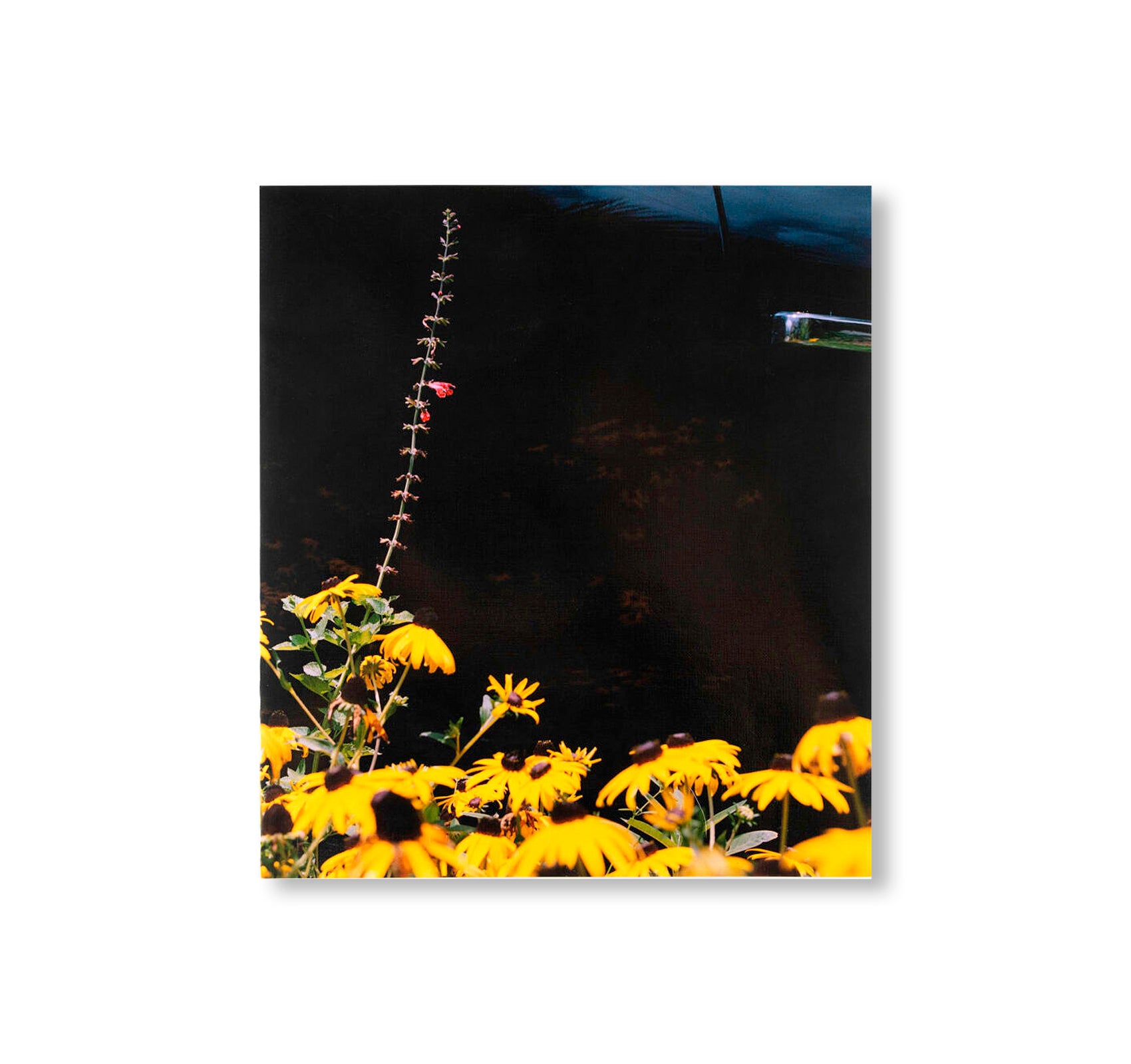 MYSTERY STREET by Vasantha Yogananthan [SIGNED]