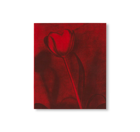 POPPY JONES by Poppy Jones