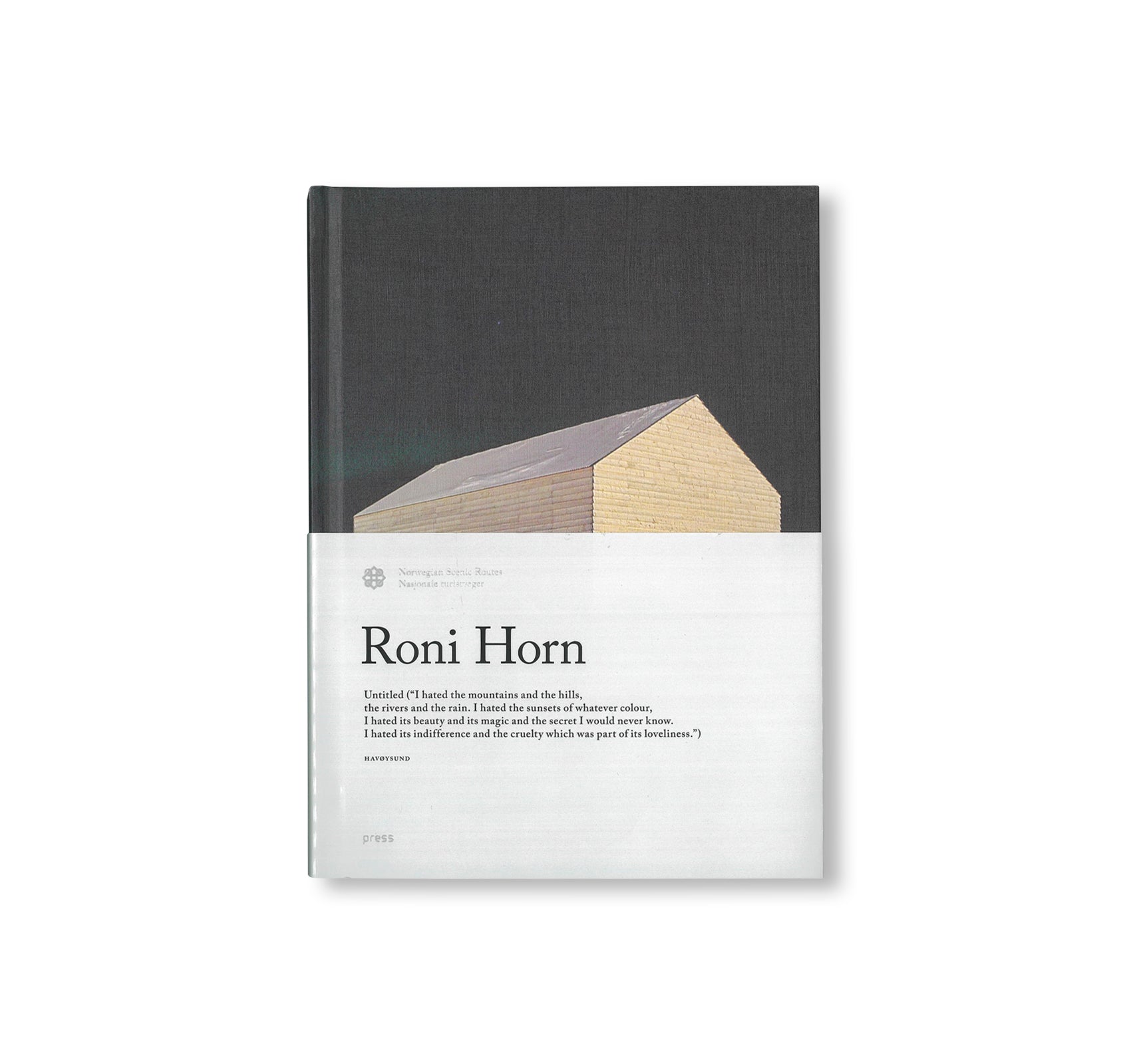 UNTITLED by Roni Horn