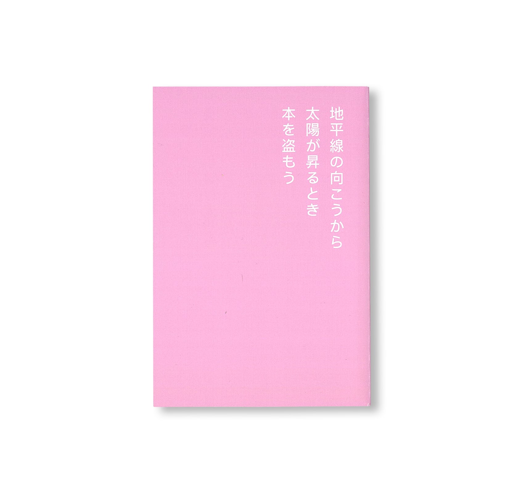 書店で万引きをする方法 by David Horvitz
