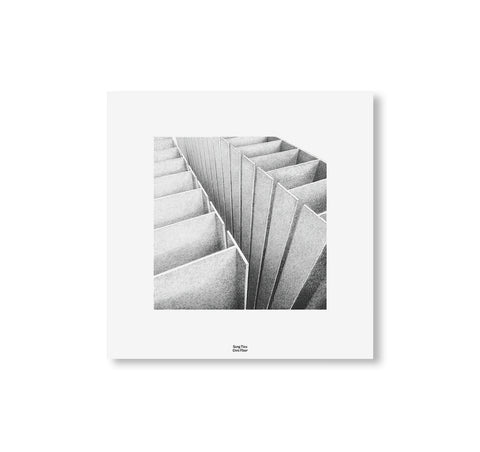 CG03: SUNG TIEU - CIVIC FLOOR by Sung Tieu [LP]