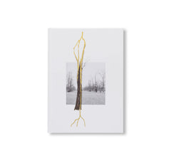 GIUSEPPE PENONE: THOUGHTS IN THE ROOTS by Giuseppe Penone