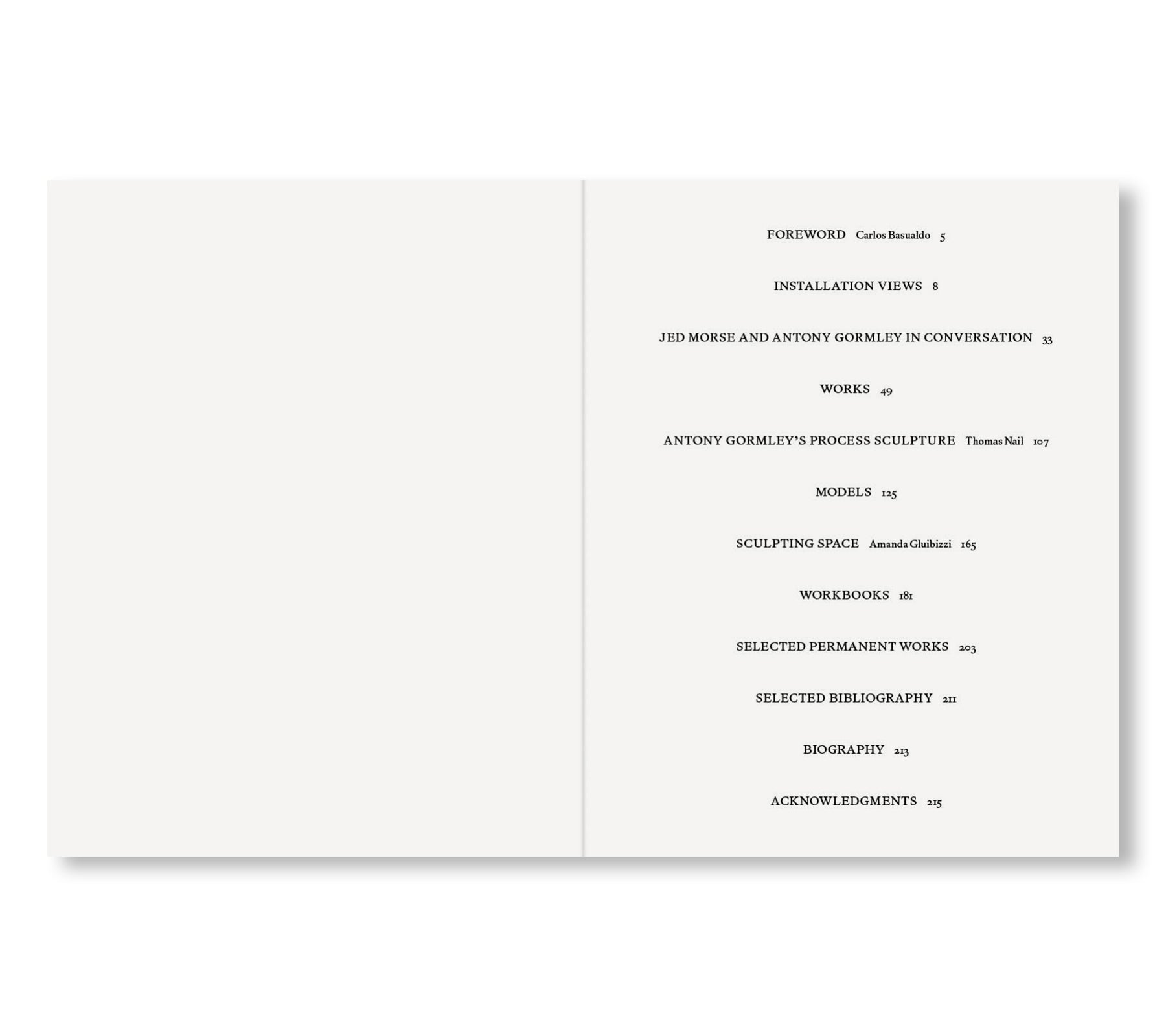 SURVEY by Antony Gormley