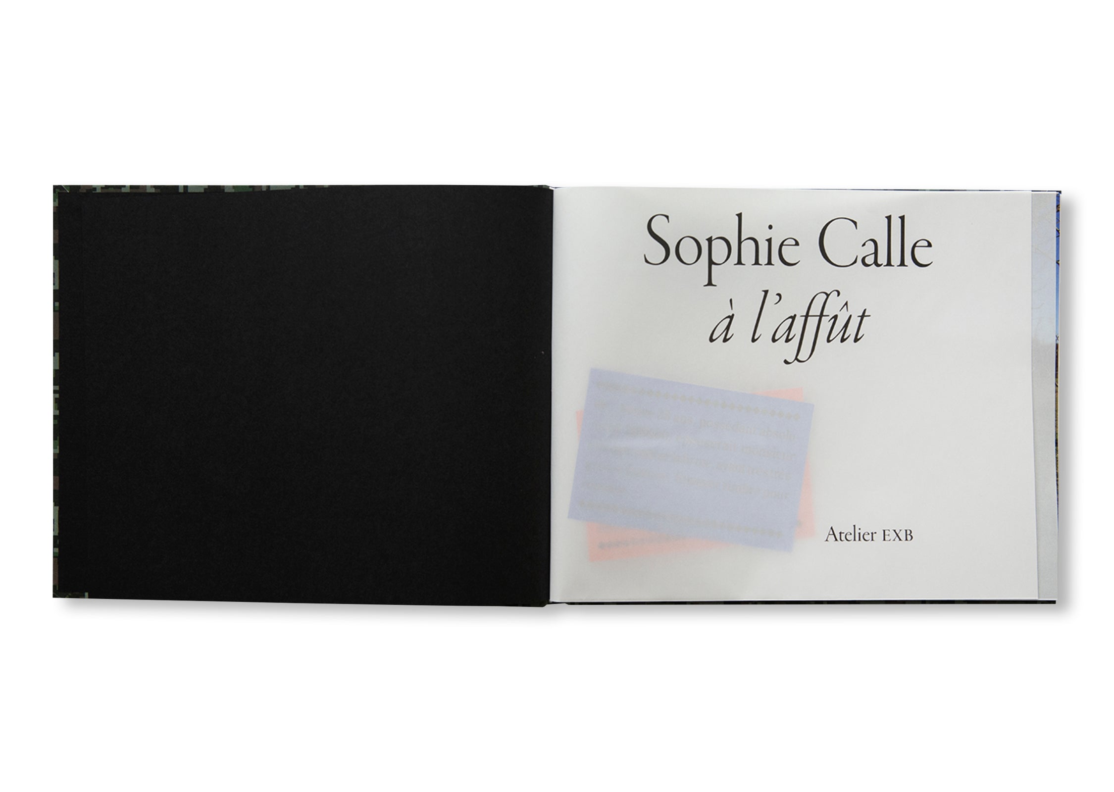 ON THE HUNT by Sophie Calle
