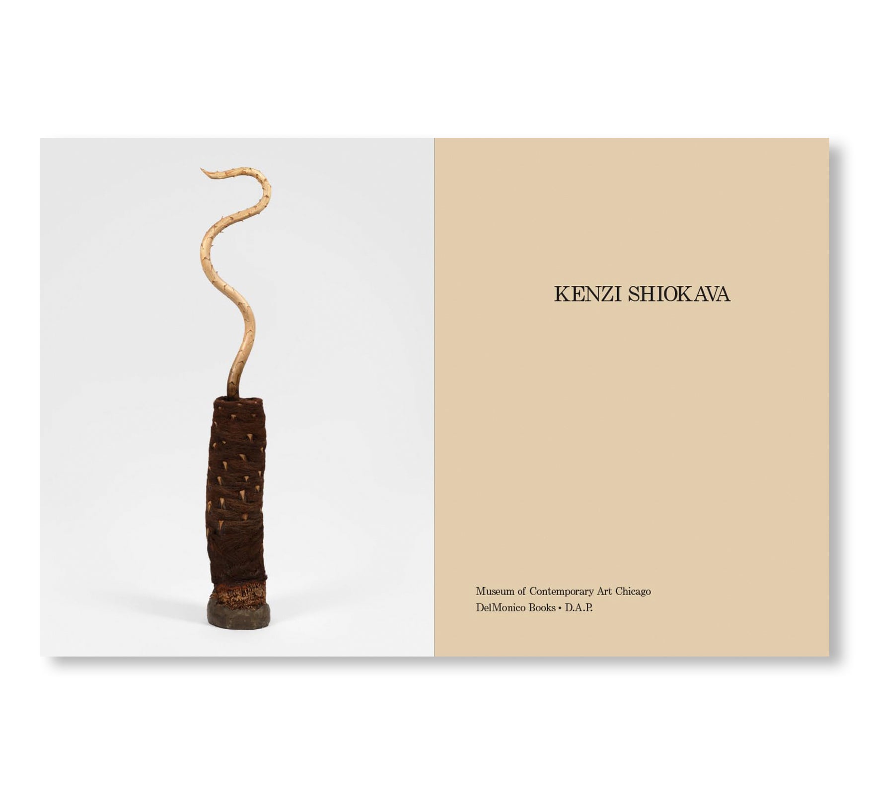 KENZI SHIOKAVA by Kenzi Shiokava
