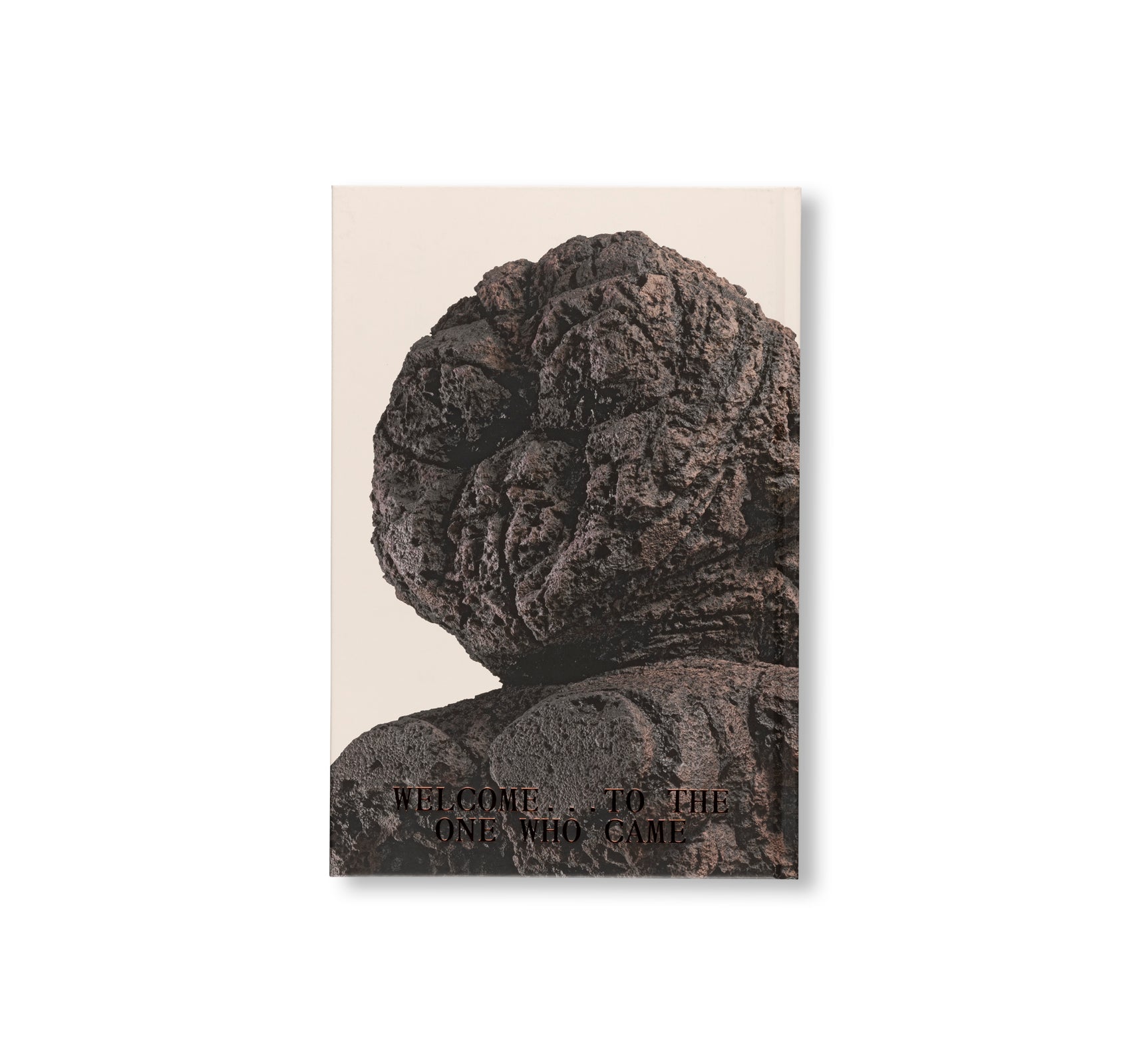 WELCOME . . . TO THE ONE WHO CAME by Huma Bhabha