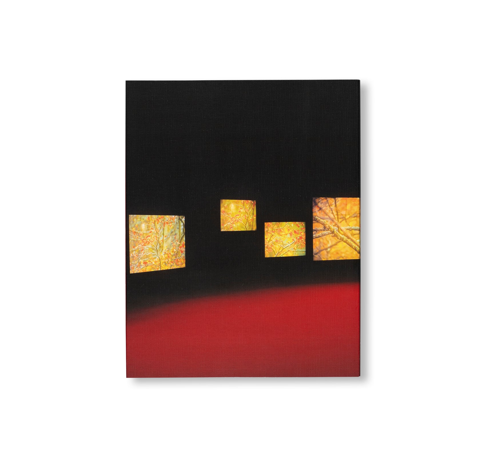 I DREAM A WORLD by Isaac Julien