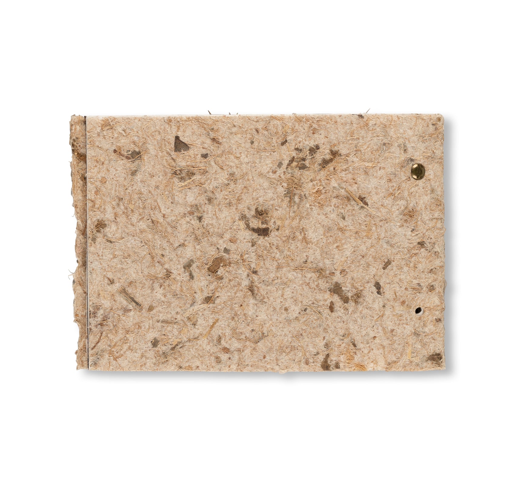 THE RADIANT EARTH by Jean Dubuffet [COVER A]