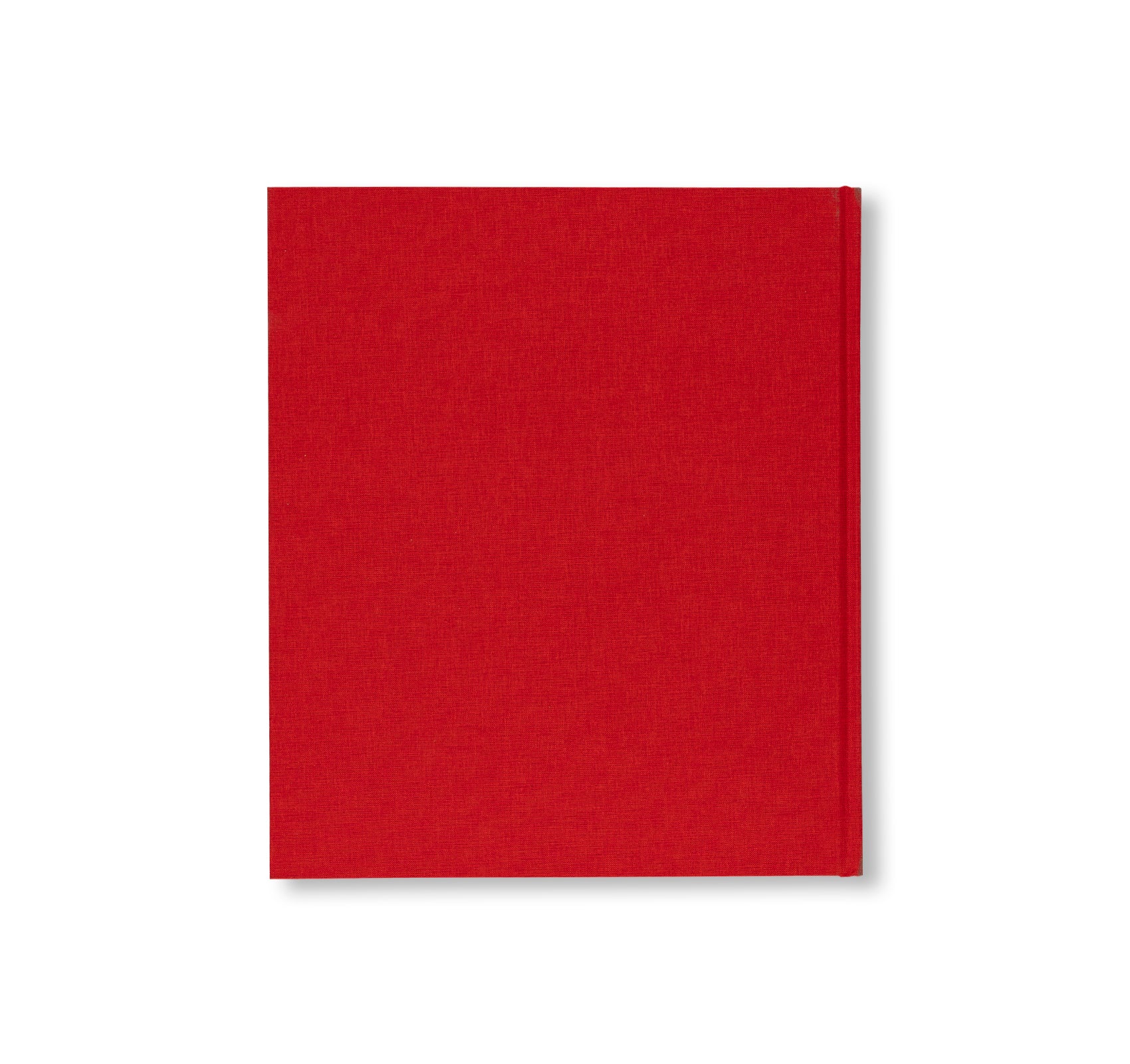 CONCEPTUAL ART AND OTHER ESSAYS BY ART & LANGUAGE. 1965-2023 by Art & Language