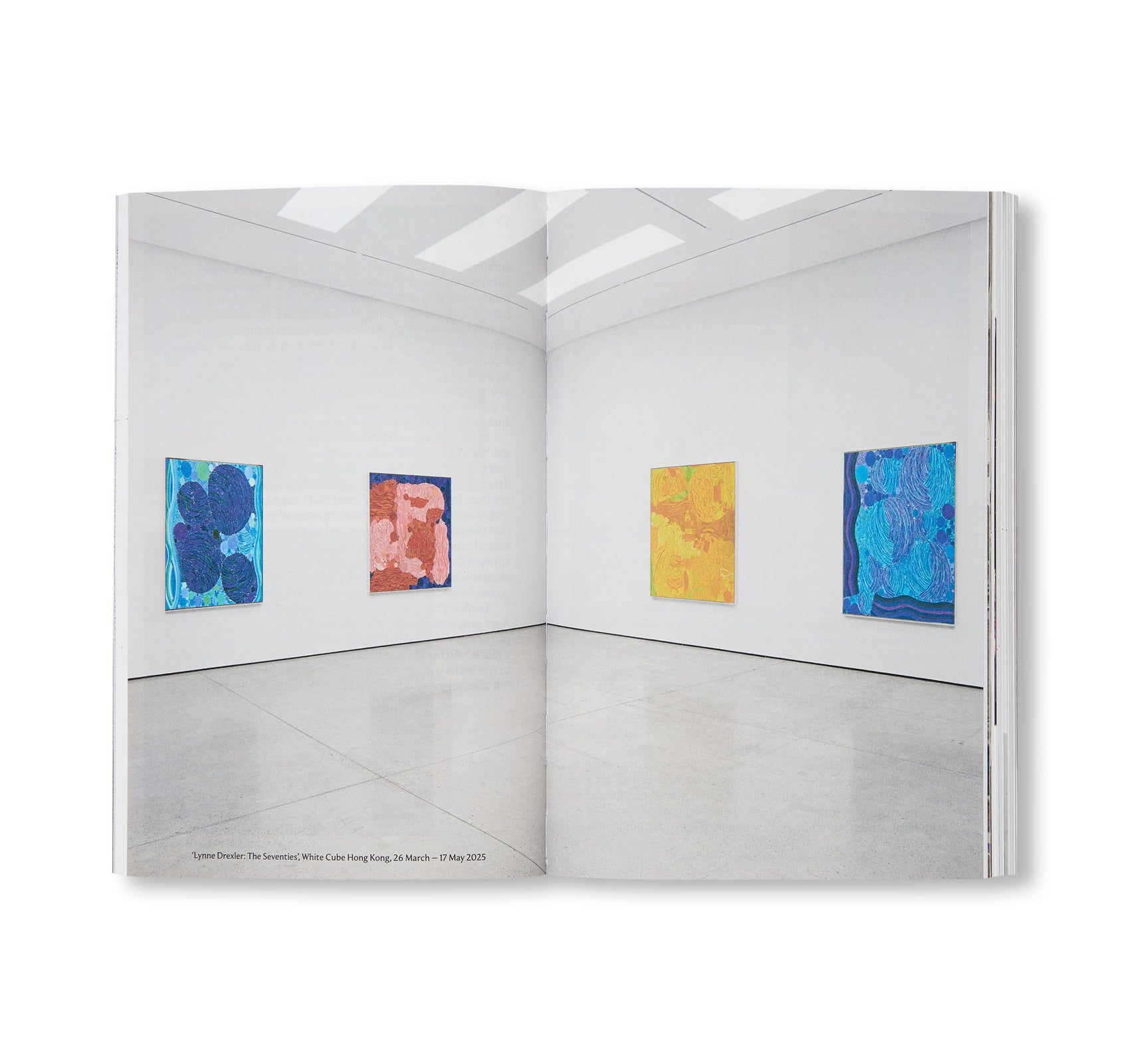 WHITE CUBE COMPANION (2025)