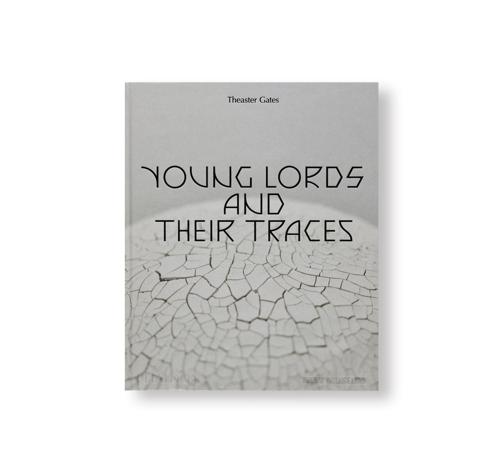 YOUNG LORDS AND THEIR TRACES by Theaster Gates
