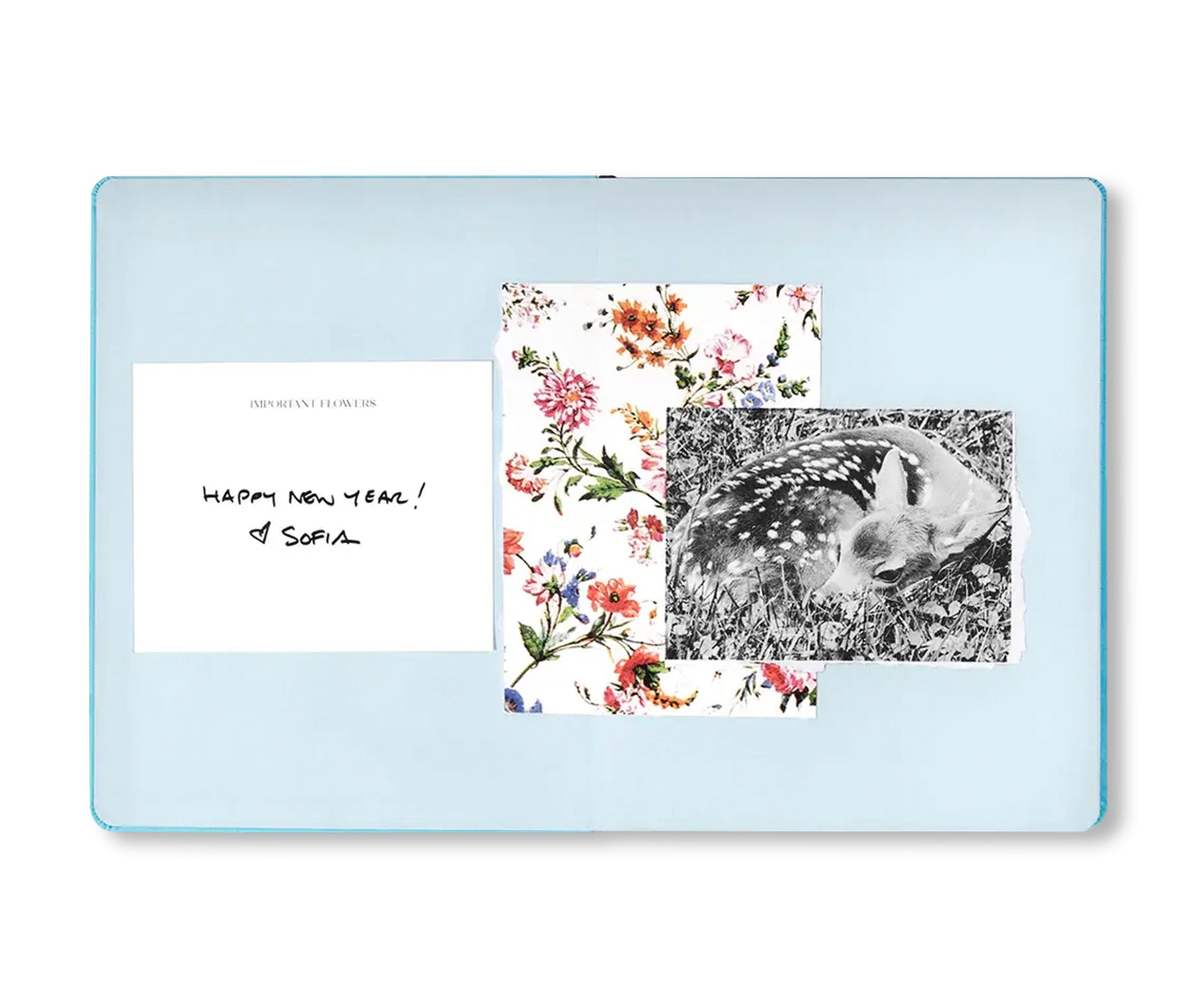 THE IMPORTANT FLOWERS PLANNER 2026 by Sofia Coppola