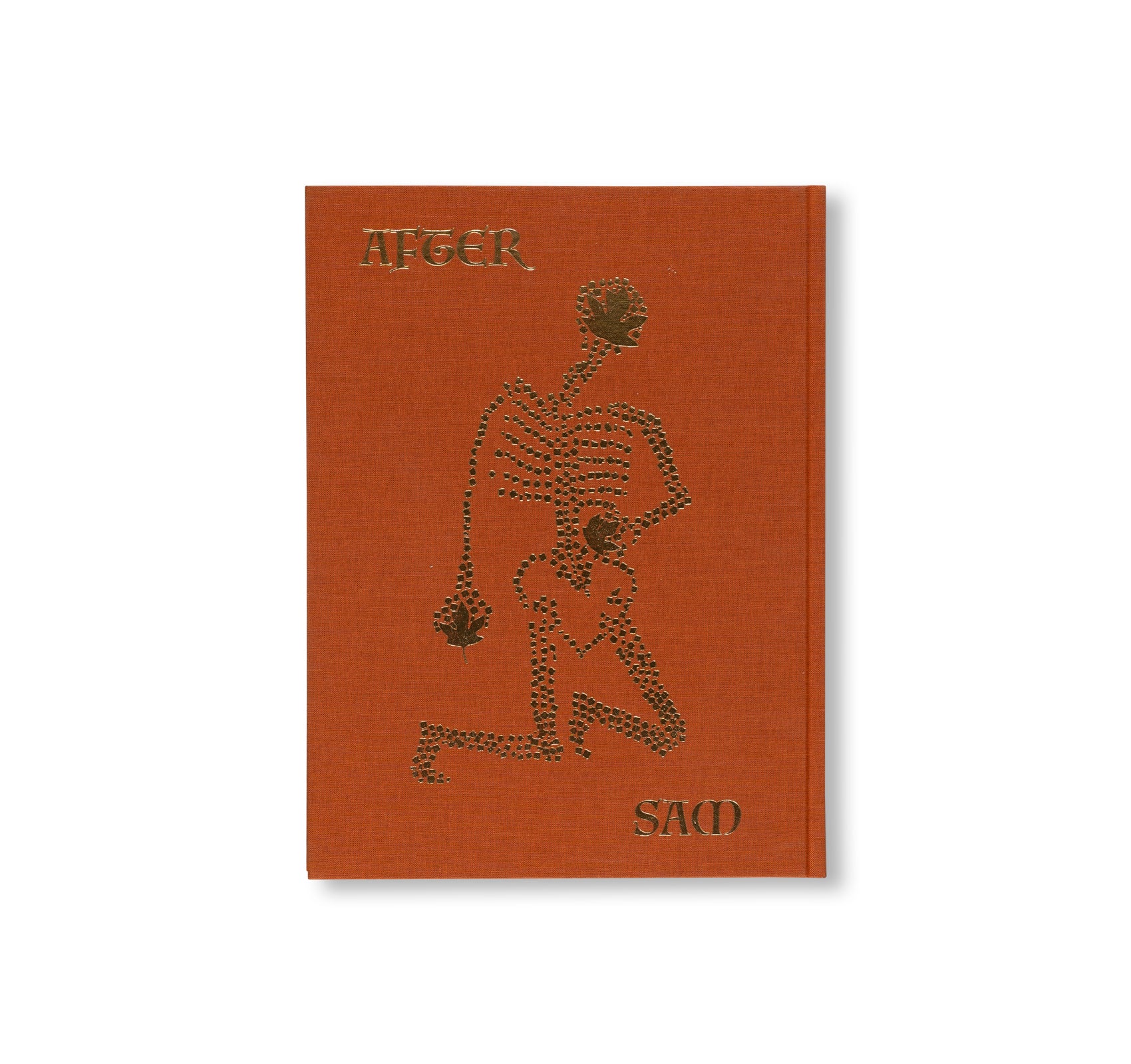 AFTER LIFE by Sam Falls