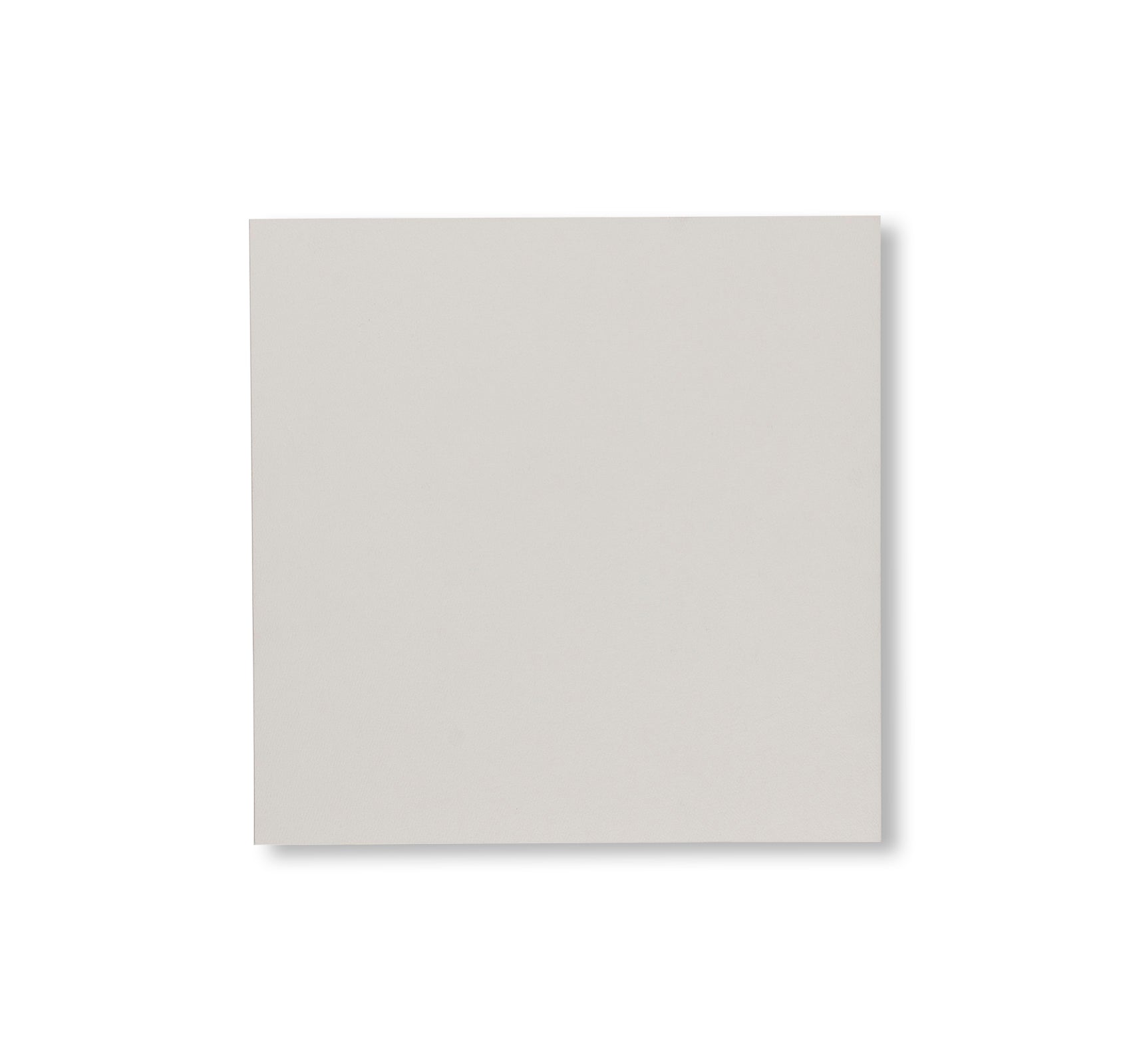 RECENT PAINTINGS by Agnes Martin